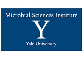 Yale Microbial Sciences Institute