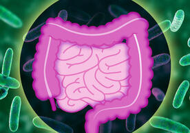 Boosting survival of a beneficial bacterium in the human gut